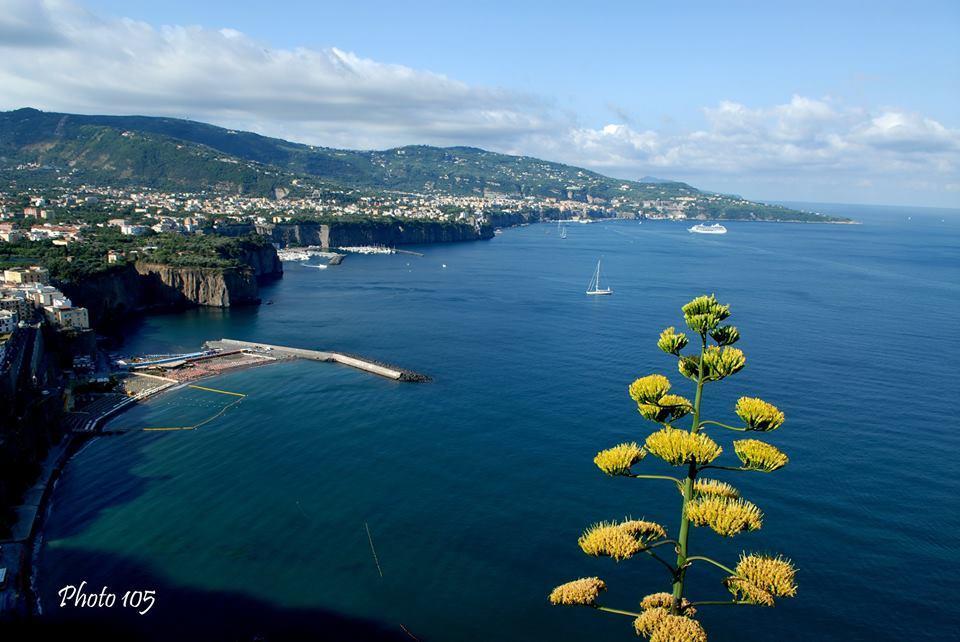 Hotel Sorrento Coast Relais Meta Exteriér fotografie